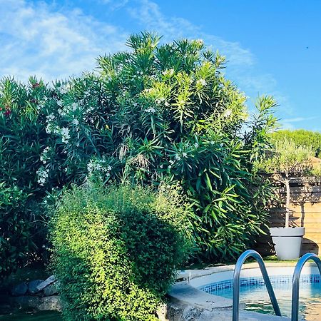Piscine Cosy, 3 Chambres, 3 Sdb, Havre De Paix A 10 Min Des Plages Могио Екстериор снимка
