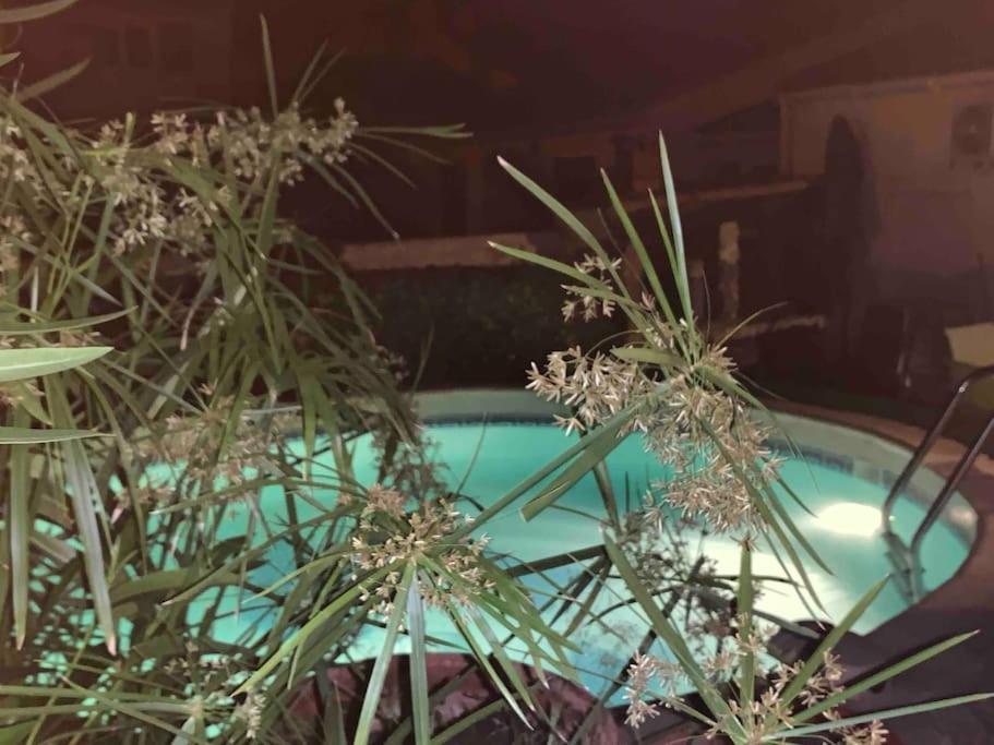 Piscine Cosy, 3 Chambres, 3 Sdb, Havre De Paix A 10 Min Des Plages Могио Екстериор снимка